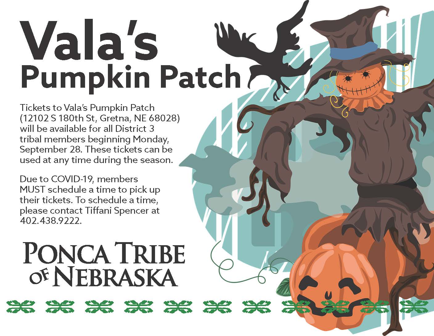 Read more about the article District 3 Vala’s Pumpkin Patch Tickets