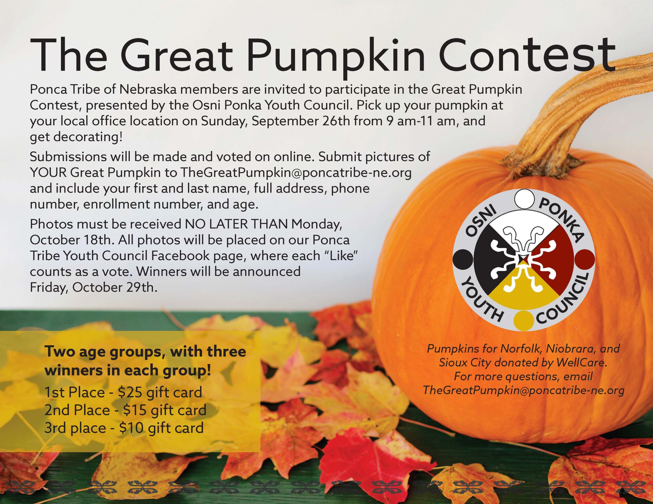 Read more about the article The Great Pumpkin Contest