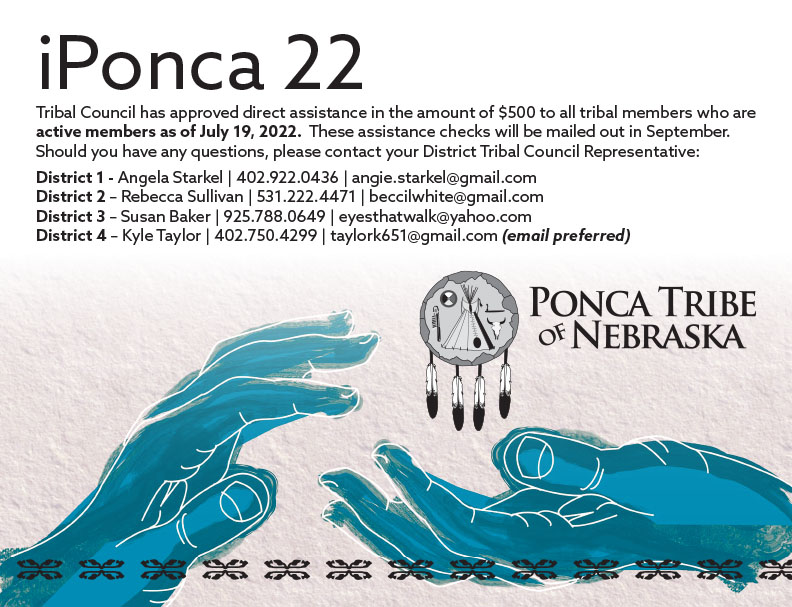 Read more about the article iPonca 22