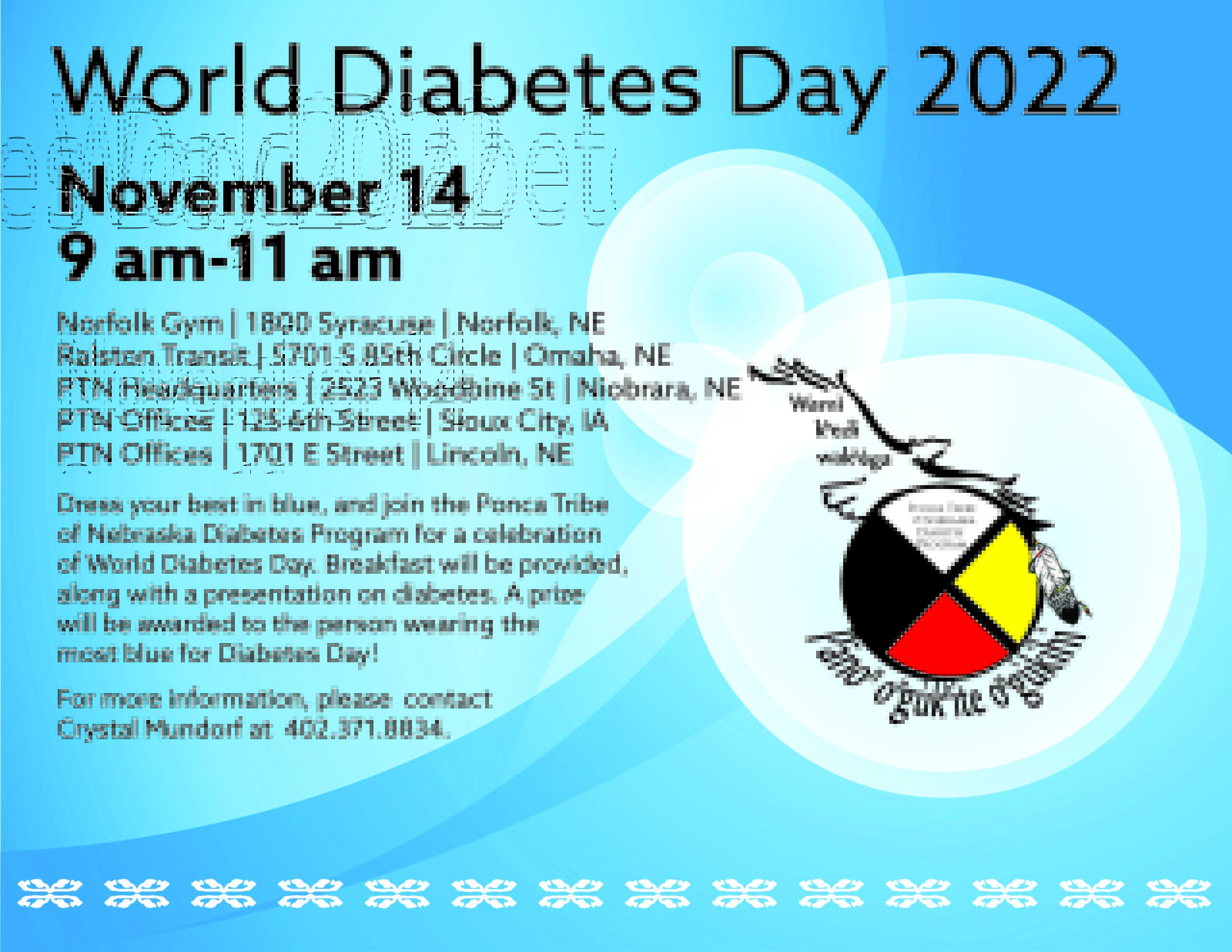 World Diabetes Day 2022