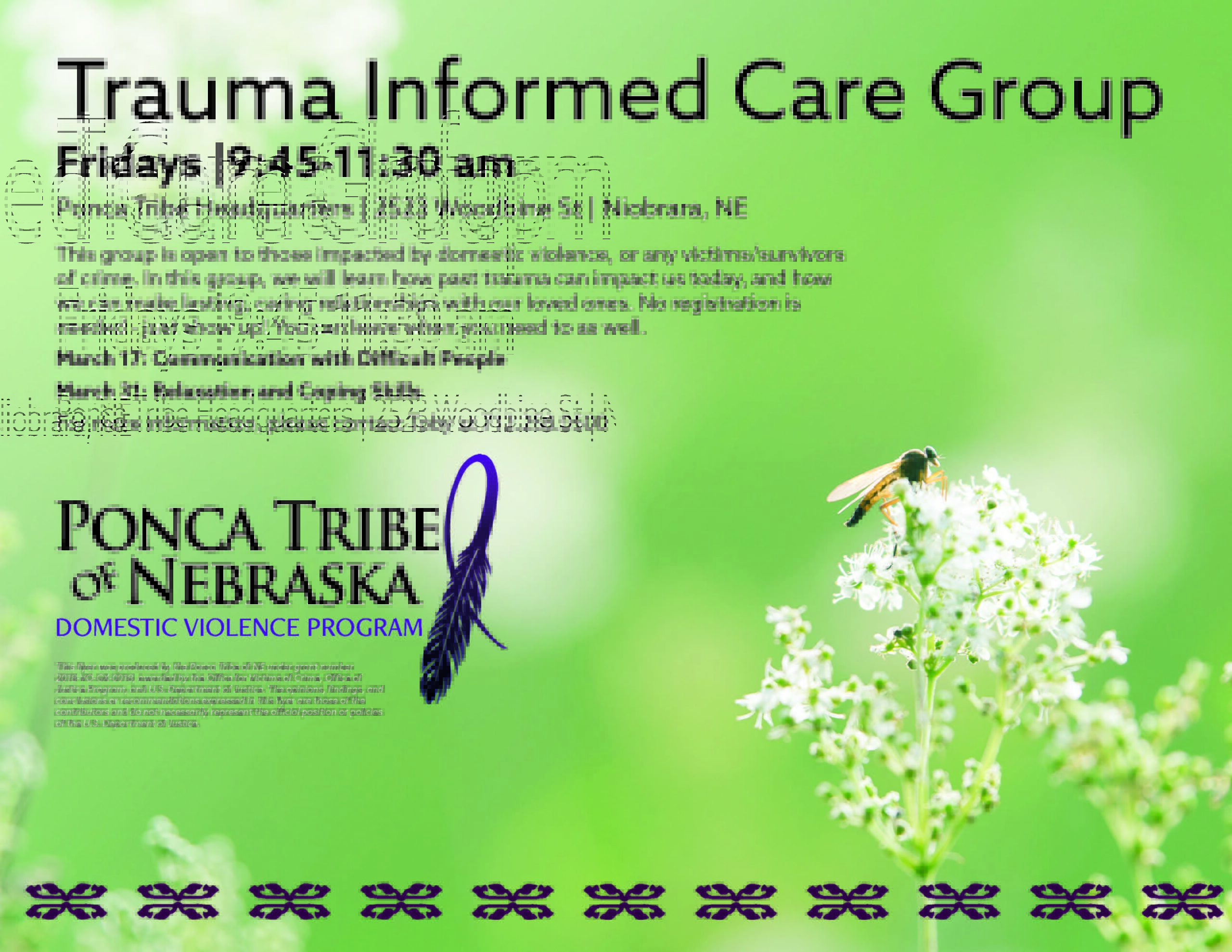 Trauma Informed Care Group – Niobrara