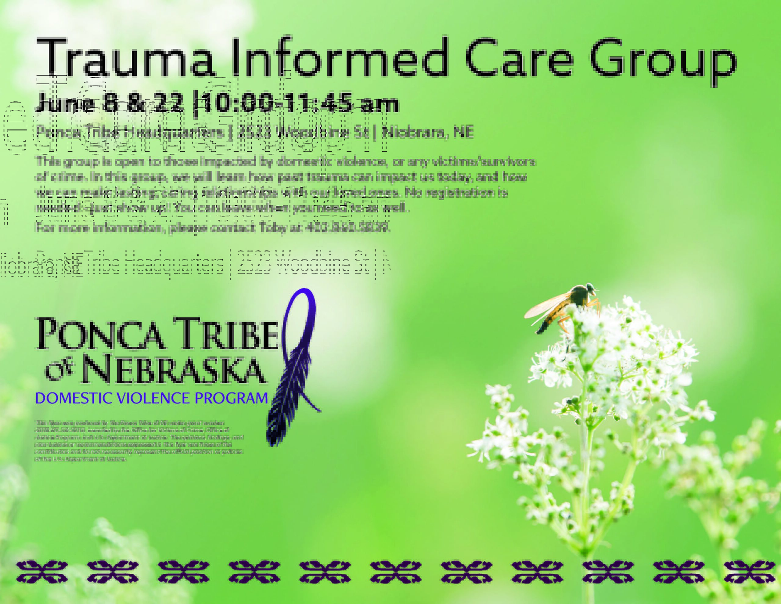 Trauma Informed Care Group – Niobrara