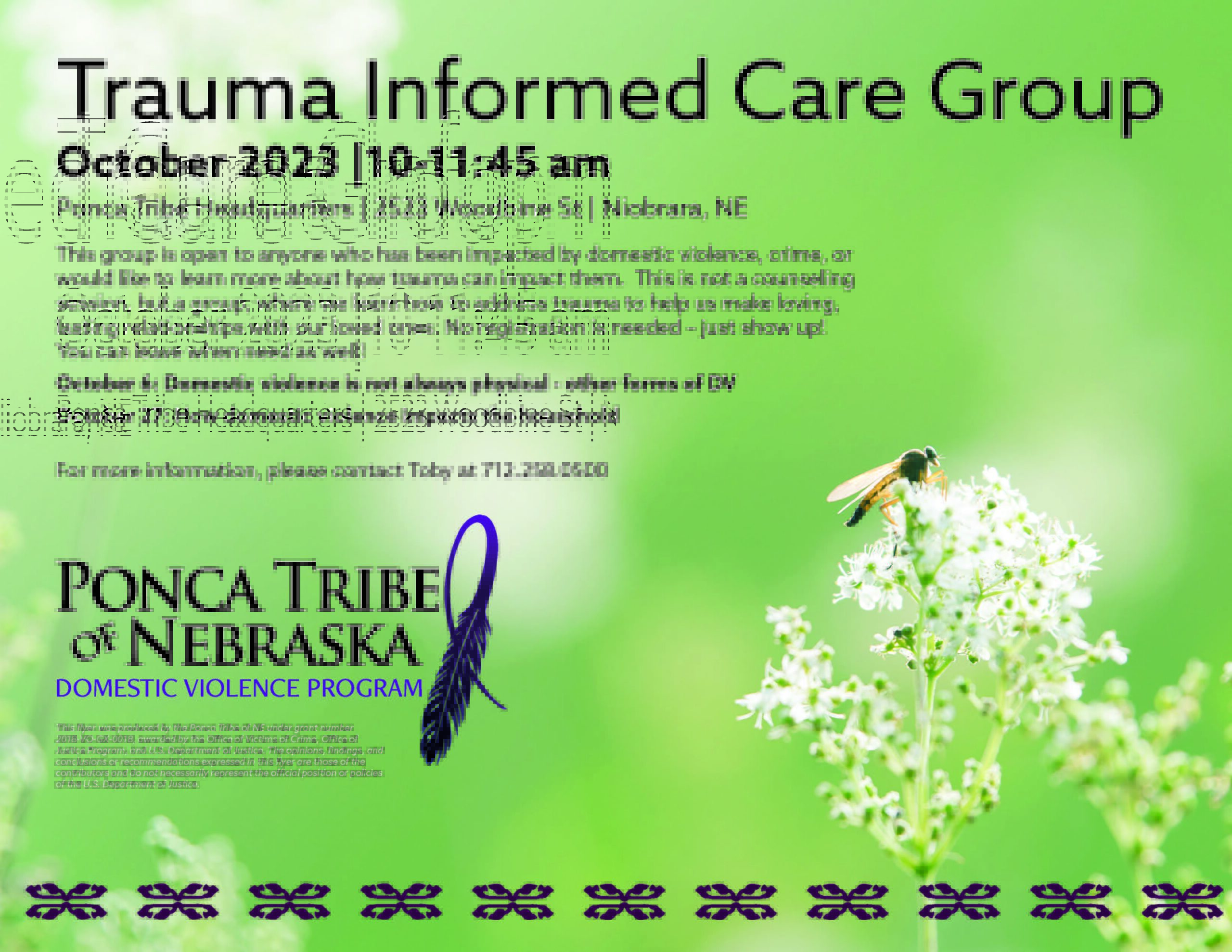 Trauma Informed Care Group – Niobrara