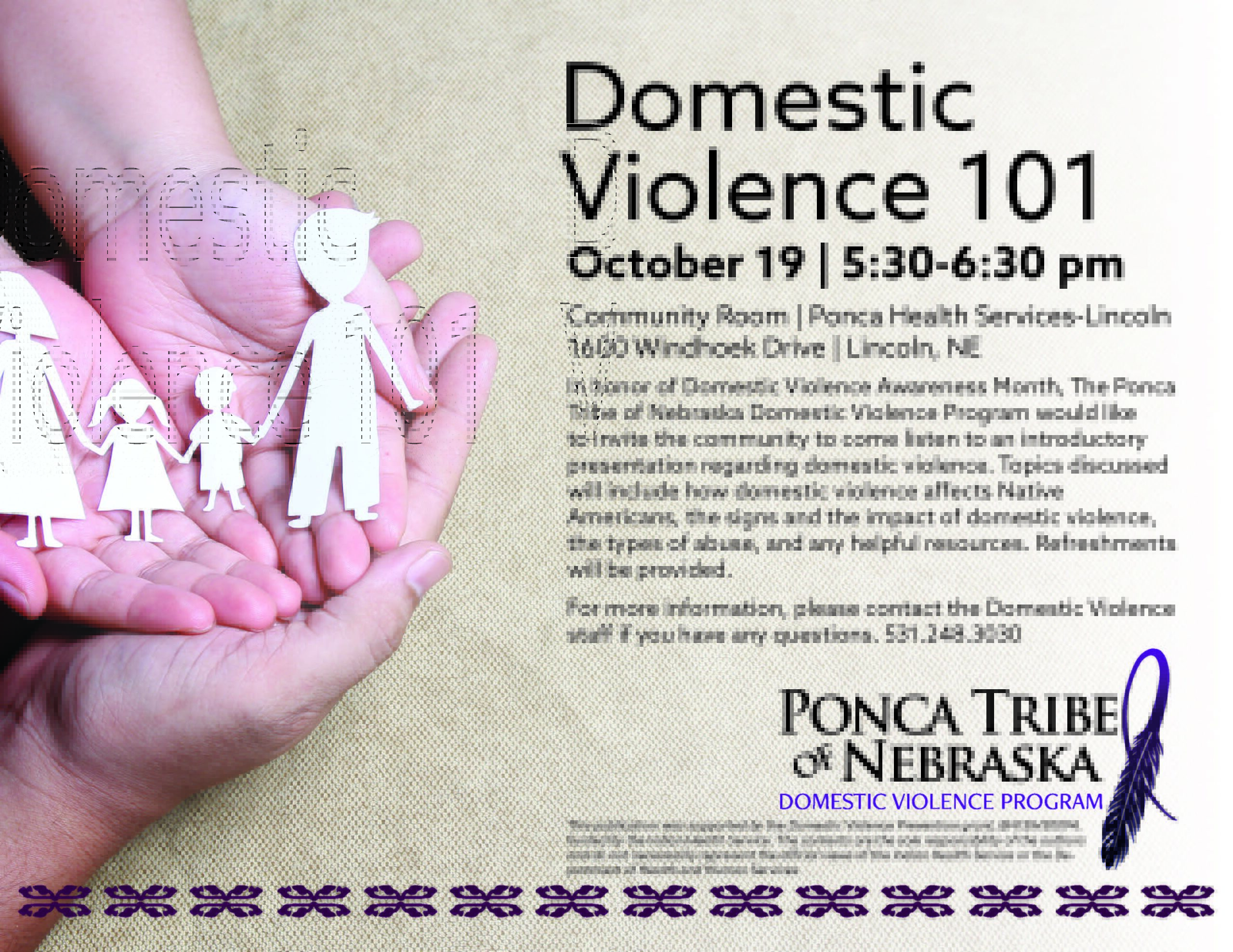 Domestic Violence 101