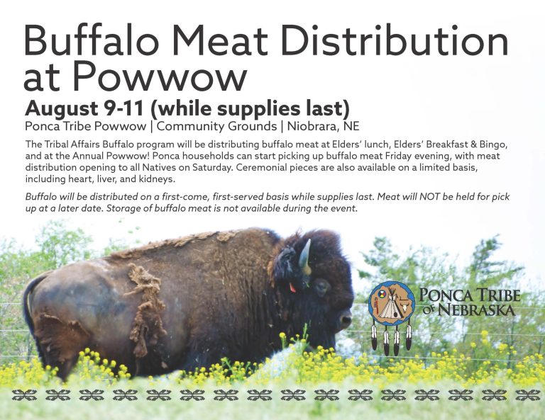 Buffalo Meat Distribution at Powwow