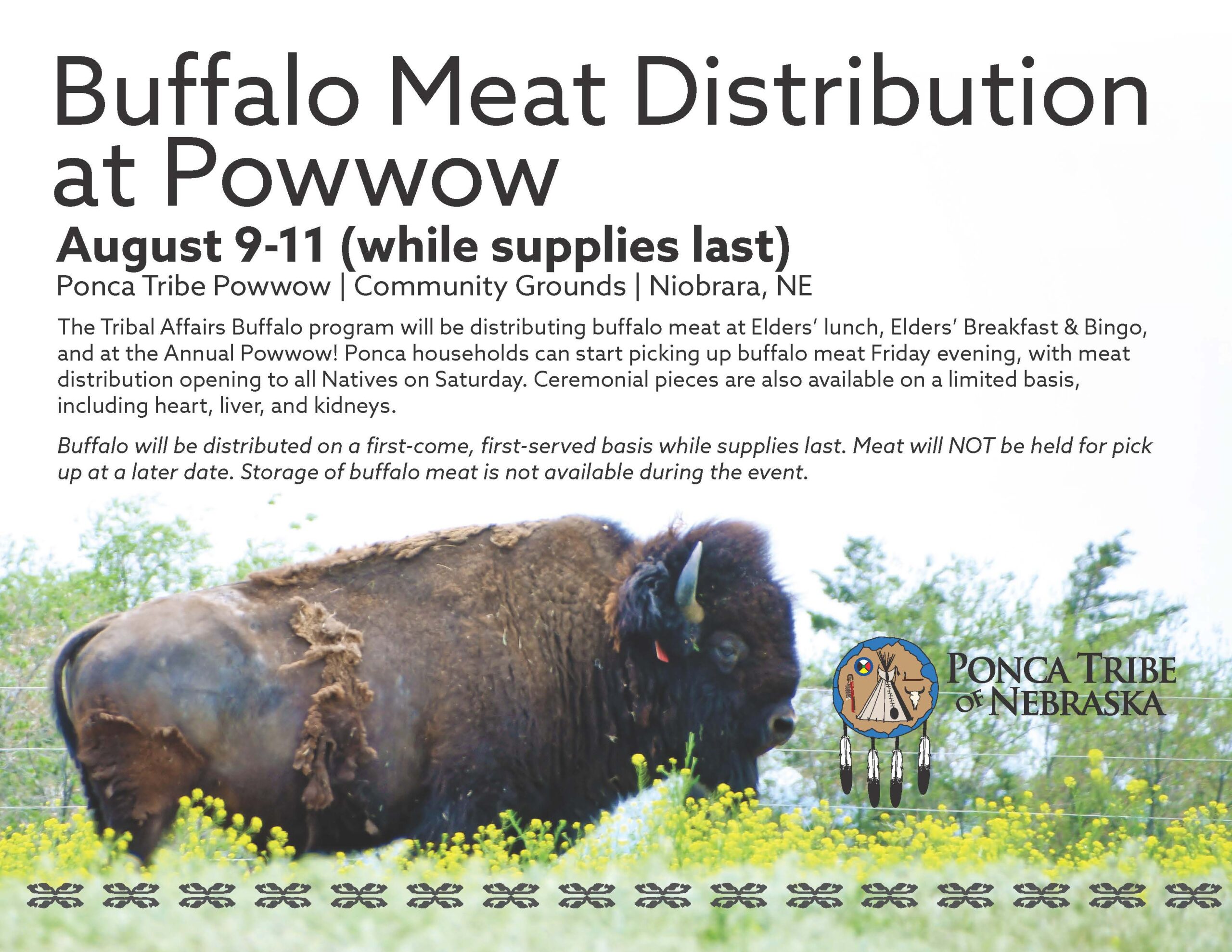 Buffalo Meat Distribution at Powwow