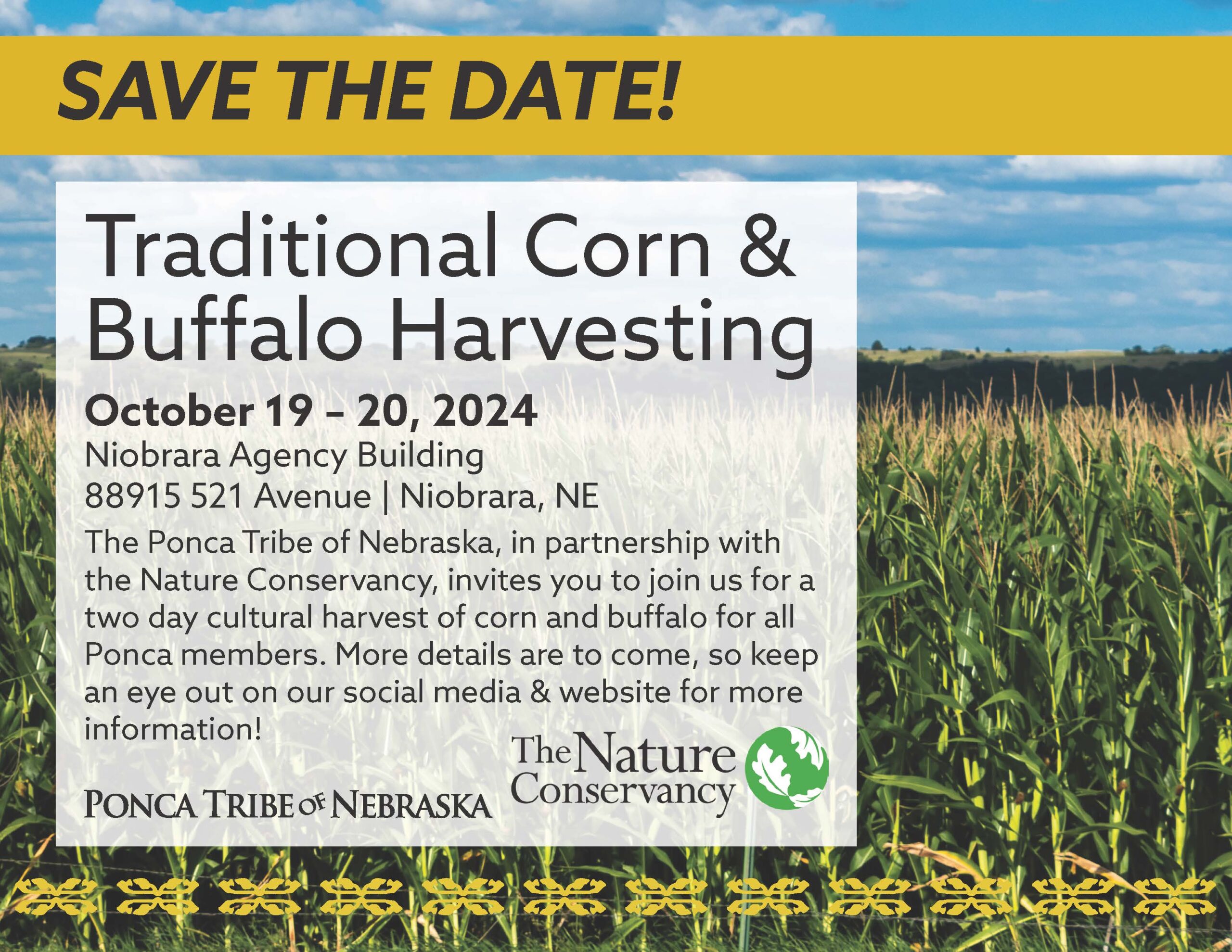 Read more about the article Save the Date for a Traditional Corn & Buffalo Harvest!