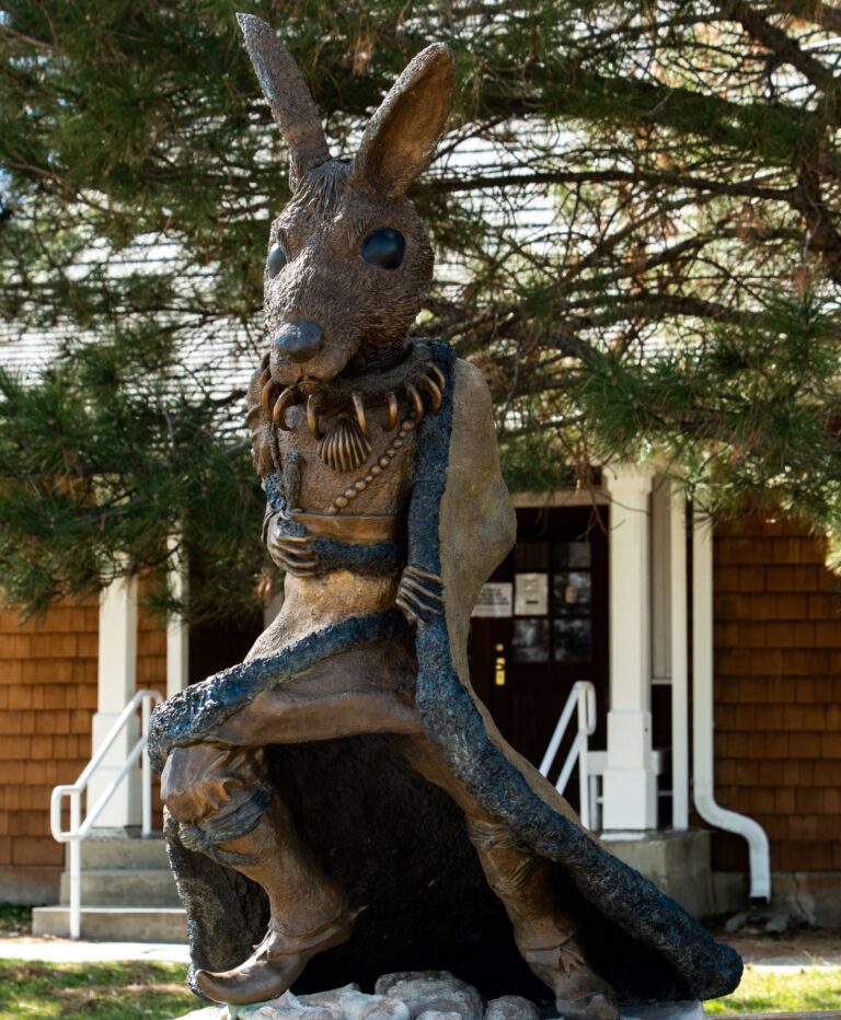 The Rabbit