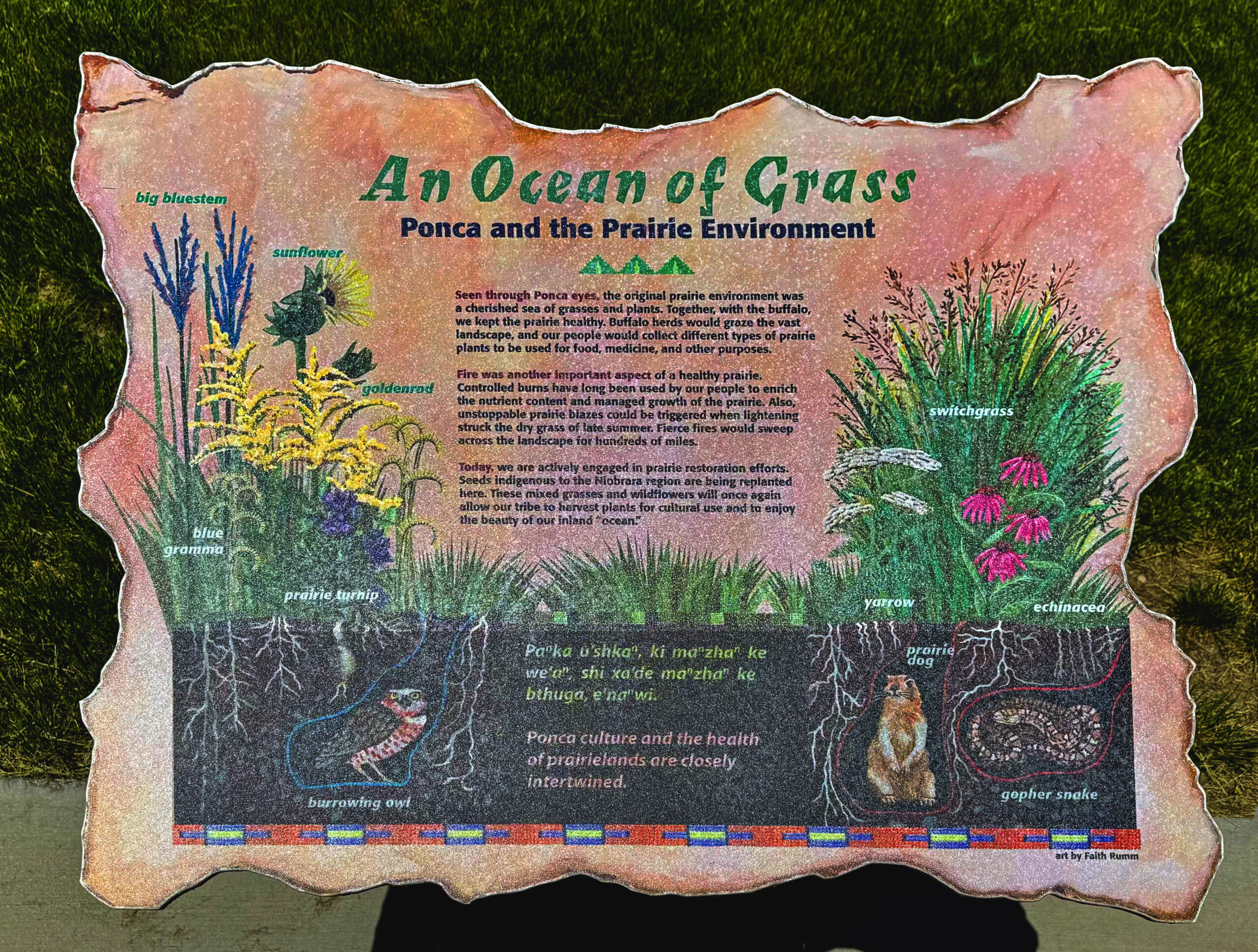An Ocean of Grass