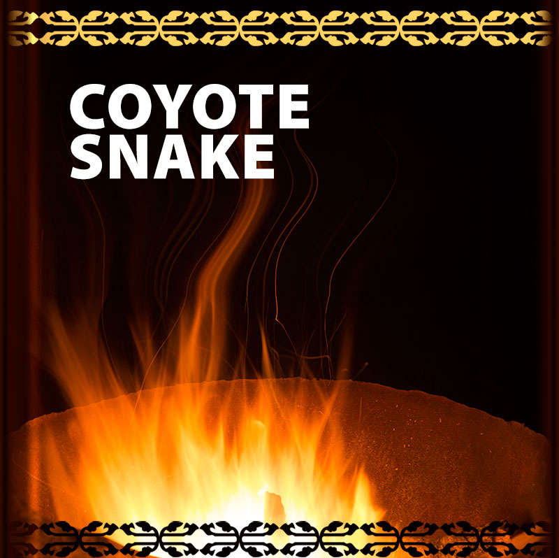 The Coyote and the Snake