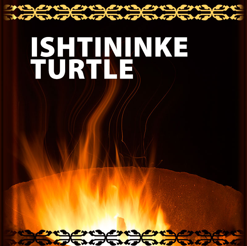 How Ishtinike Caught the Turtle