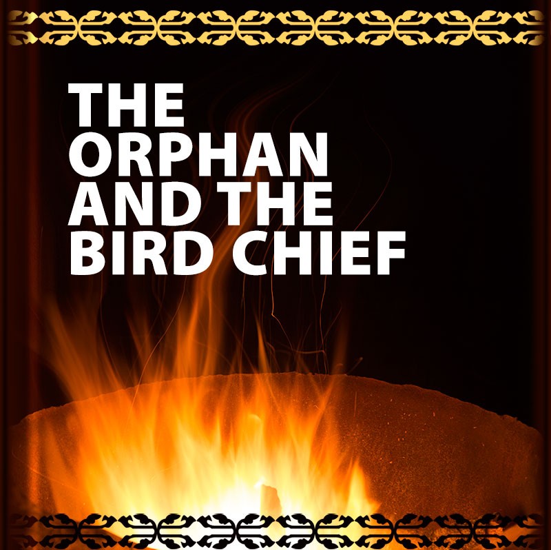 The Orphan and the Bird Chief