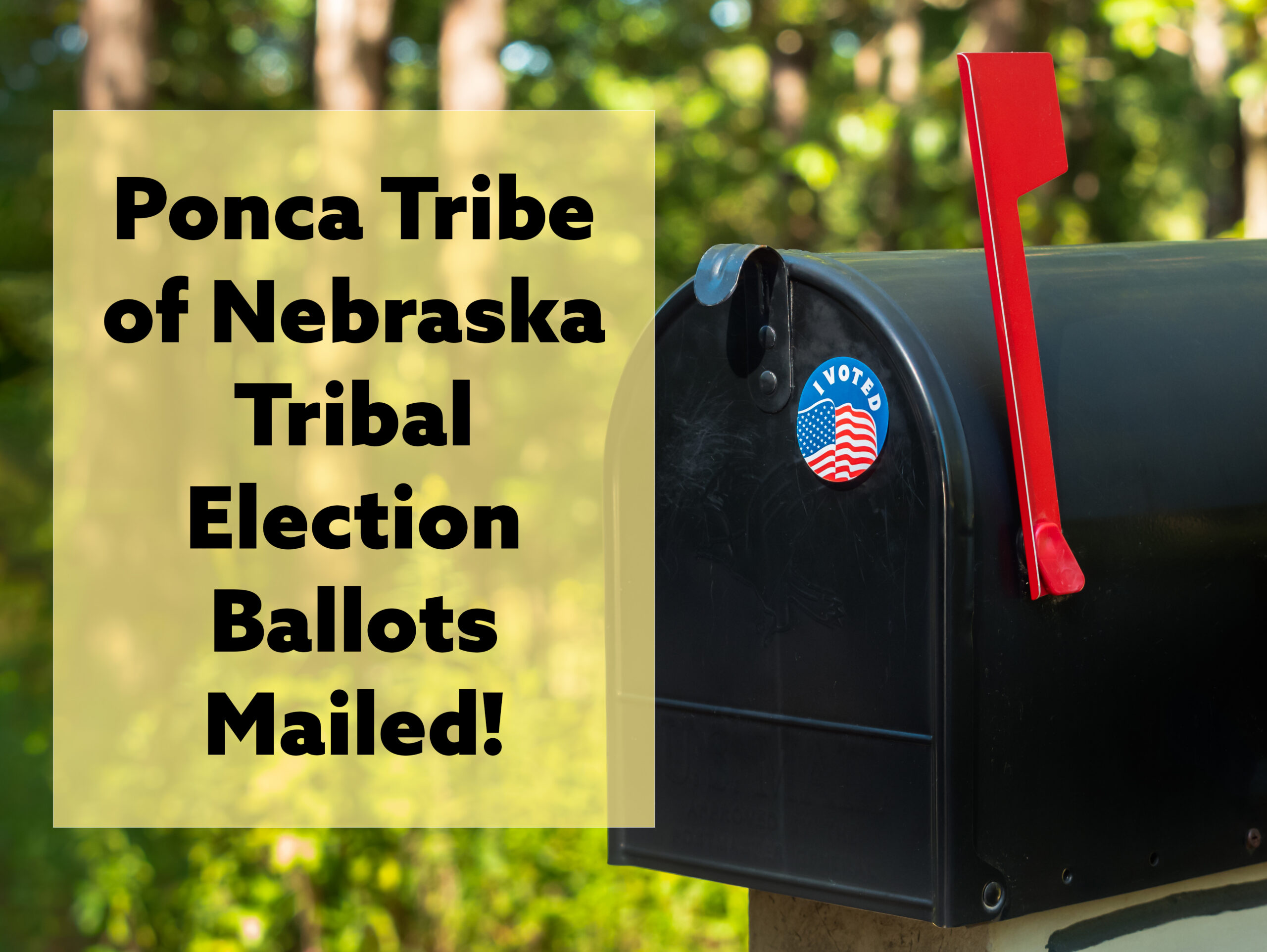 You are currently viewing 2026 ELECTION BALLOTS HAVE BEEN MAILED